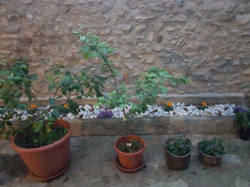 Hostal Casa Lidia