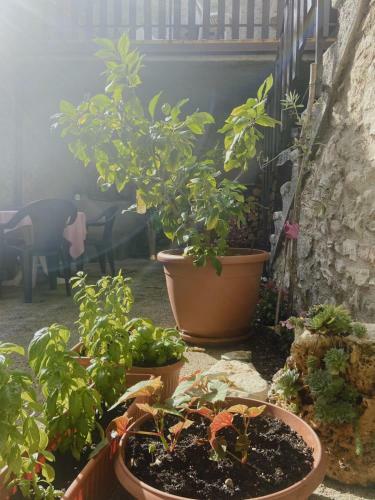 Hostal Casa Lidia