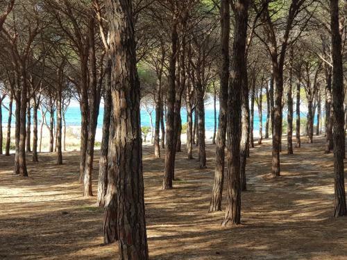 Villa Apple Big Paradise Budoni