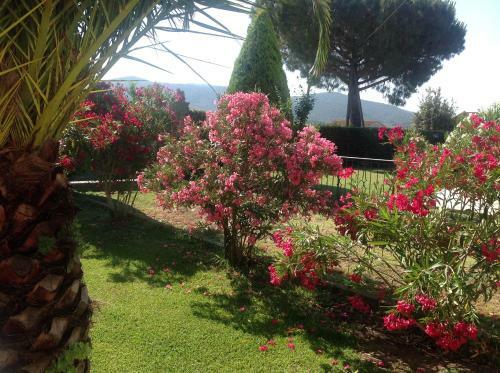 Agroturismo Villa Trieste