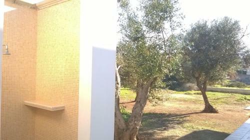 Casa Vacanze Cisternella