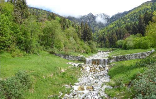 Maso Weiss