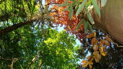 Bed & Breakfast Le Hameau De Robert
