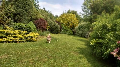Apartm�ny Blata