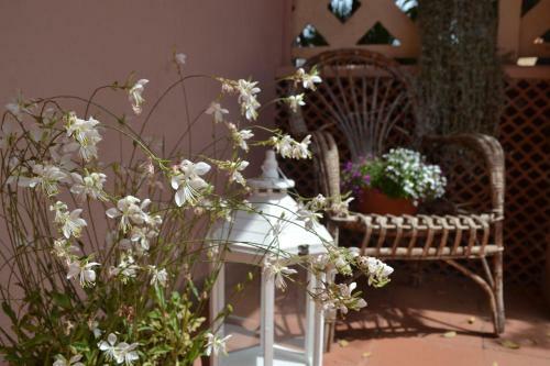 Into The Wild Green B&B