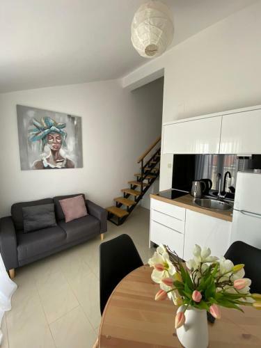 Apartmani Lozi?