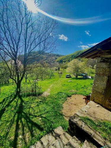 Apartamento Cottage Kolekjeski