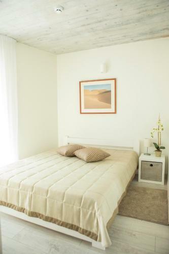 Apartamentai "paj?rio Stikliukai"