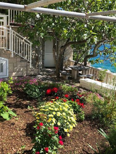 Apartamento Haus Am Meer