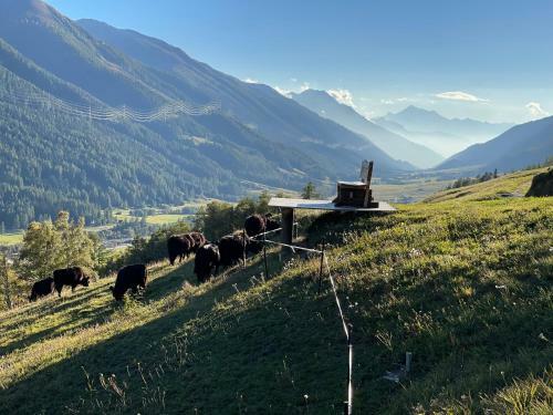 Naturlodge Gadestatt