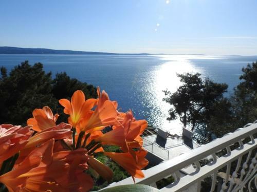 Apartamento Sunrise Vid