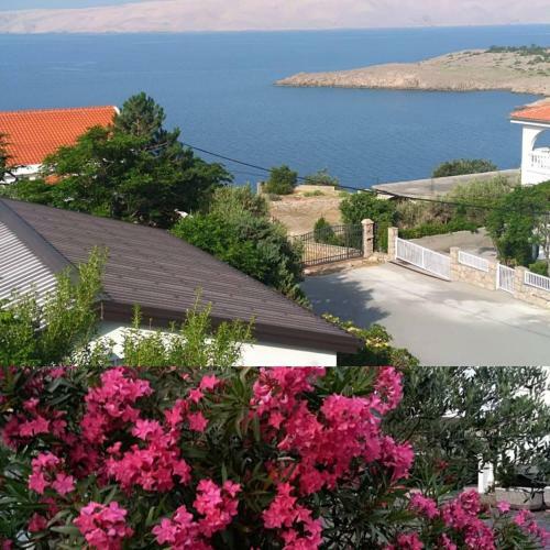 Hostal Apartman Zahira