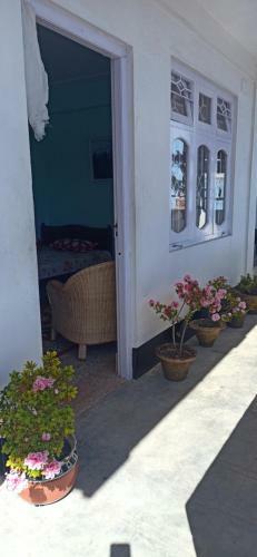 B&B Homestay