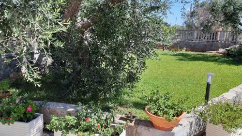 Apartamento Poggio Fiorito
