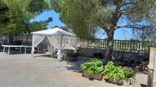 Apartamento Poggio Fiorito