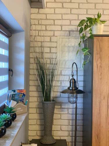 Apartamenty"pod Wiatrakiem"