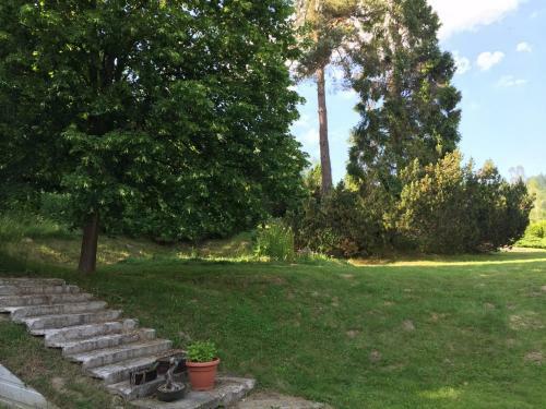 Apartamento Dwerniczek