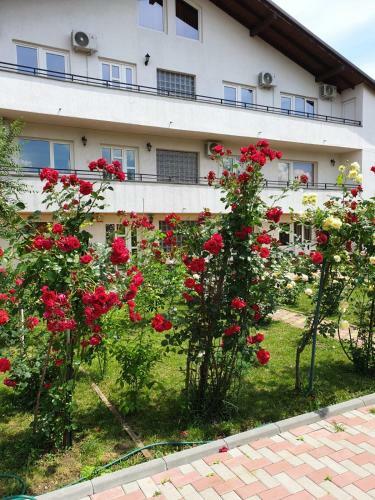 Hostal Casa Anna & Costantino