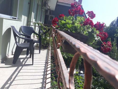 Hostal Pensiunea Smarald