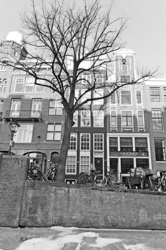 Jordaan Apartment 6