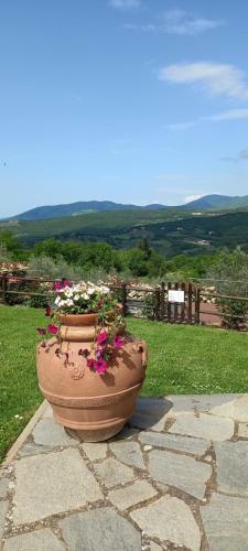Hotel Poggio Al Sole