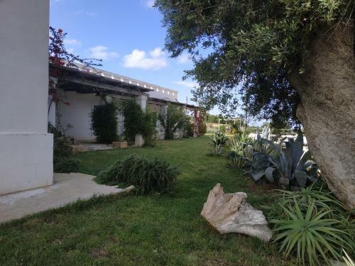 Hostal Masseria Auina