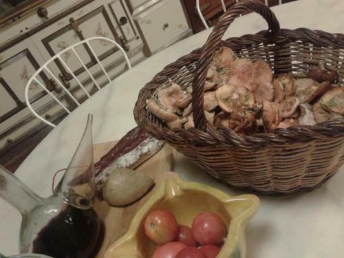 Bed&breakfast Mas La Cabanya De Beget