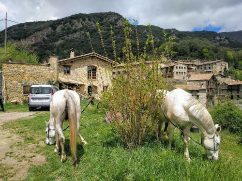 Bed&breakfast Mas La Cabanya De Beget