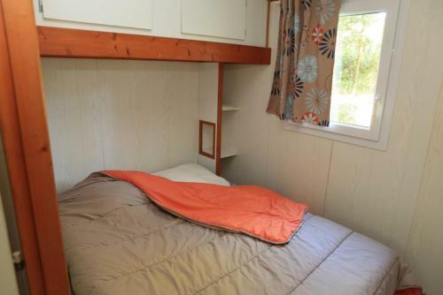 Camping Oaki