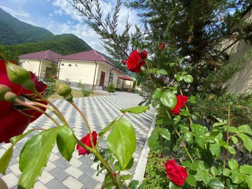 Apartamento Alp Hotel