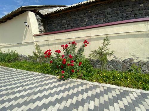 Apartamento Alp Hotel
