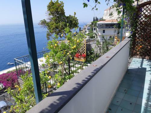 Apartamento Amalfi Blue Flowers A