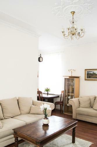 Vintage Style Spacious Apartment
