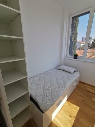 Apartmaji Egis Koper