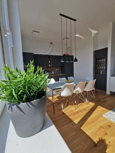 Apartmaji Egis Koper