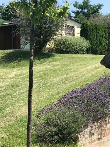 Farkas Apartman Rezi