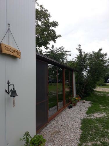 Turtle Camp