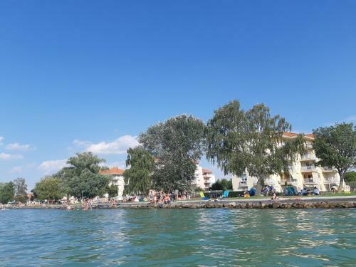 Lakeside Family Apartment