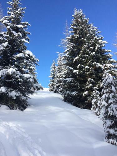 Apartamento Dolomitenblick