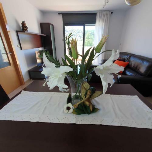 Sirius Apartment Ainsa