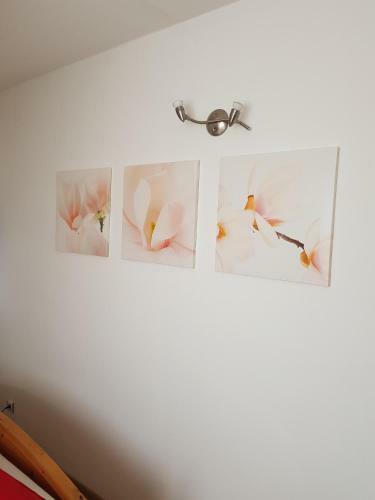 Apartment In Balatonakali 36227