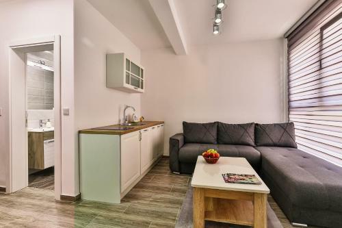 Lux Apartmani Djukic
