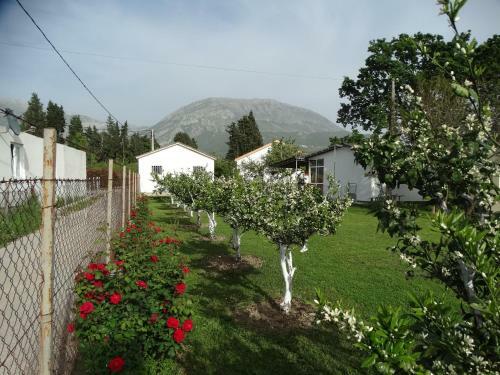 Apartman Zorana