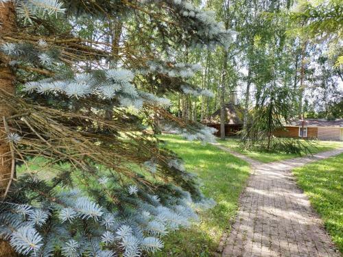 Hotel Dune Jurmala