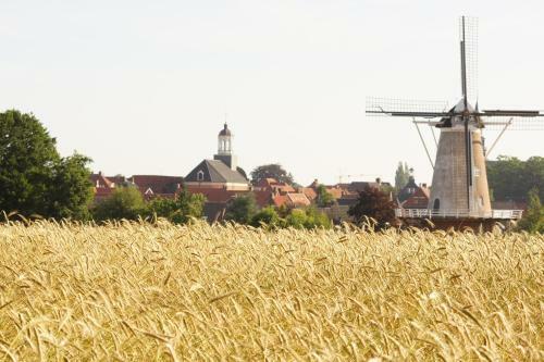 Hostal Erve H�werboer