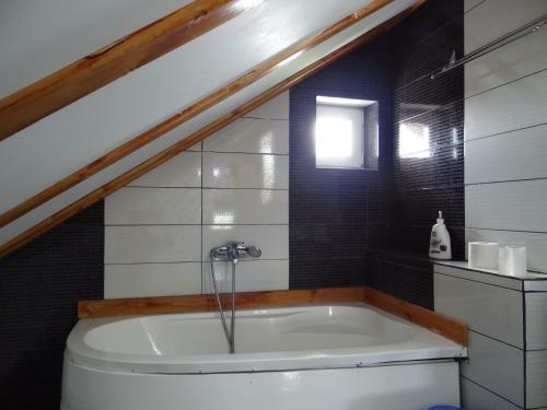 Hostal Pensiunea Lacul Albesti
