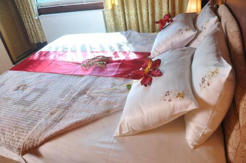 Hotel Brod Panini Veles