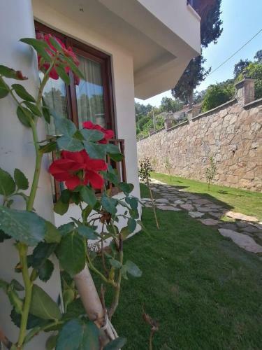 Hotel Akcapinar Korfez Butik Otel