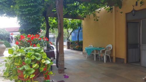 Hostal Garden Apartments
