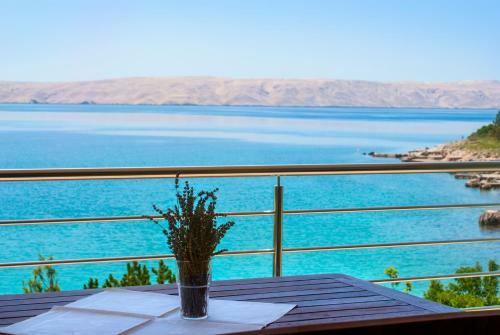 Hostal Apartmani Ribarica****
